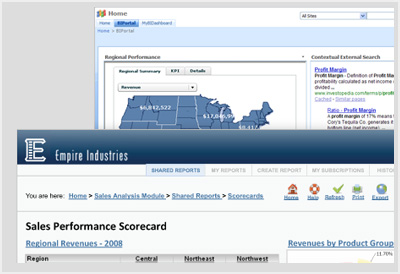 Personalizzare - Adattare il layout grafico e il comportamento standard alle necessità del cliente - Microstrategy